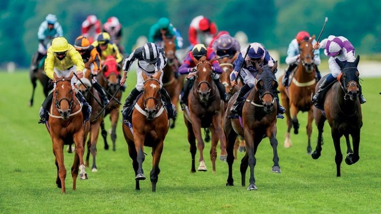 Get the Lowdown on Horse Racing Odds
